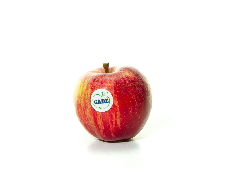 Gala Royal – ثمار تفاح جالا الملكية