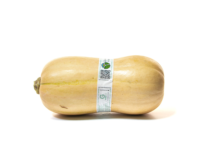Organic Pumpkin Butternut